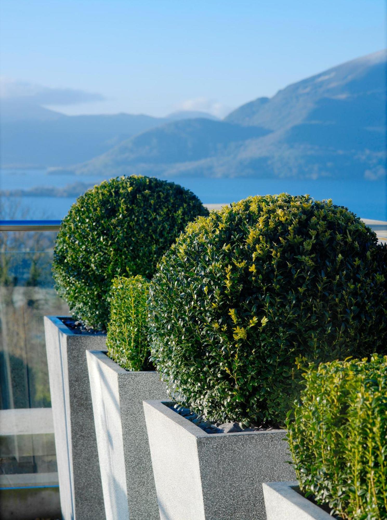 Aghadoe Heights Hotel & Spa Fossa Exterior foto Boxwood
